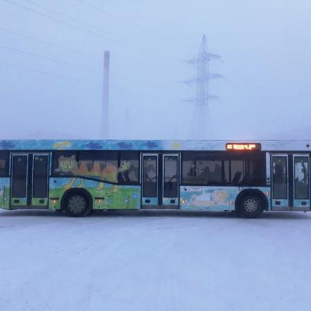 Посмотреть крупнее